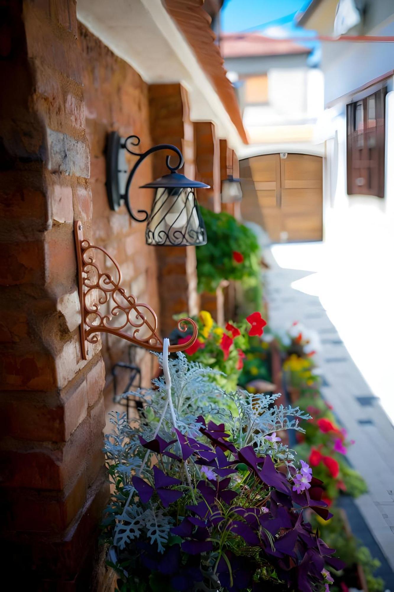 Cochet House Sibiu Exterior foto