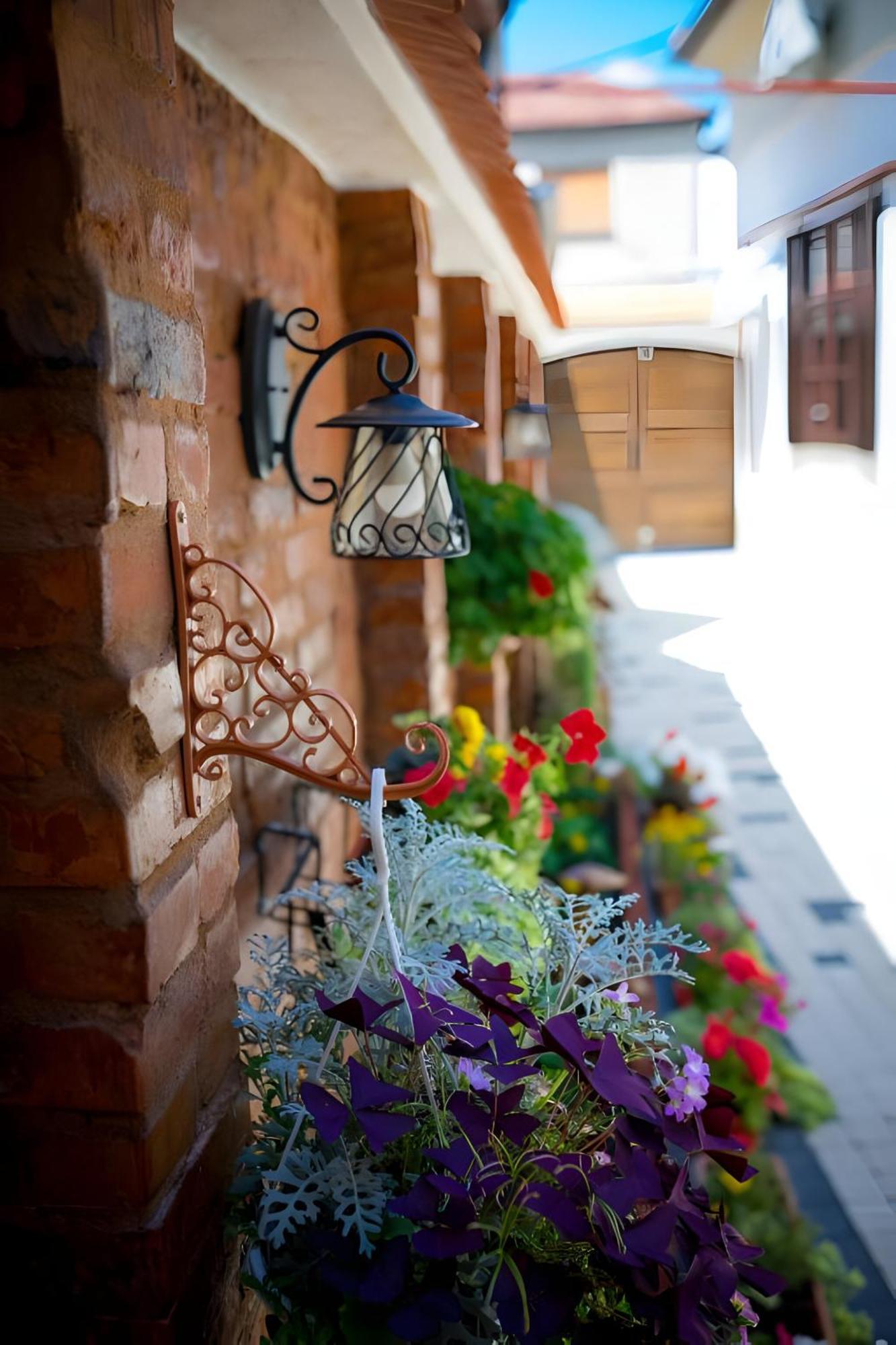 Cochet House Sibiu Exterior foto