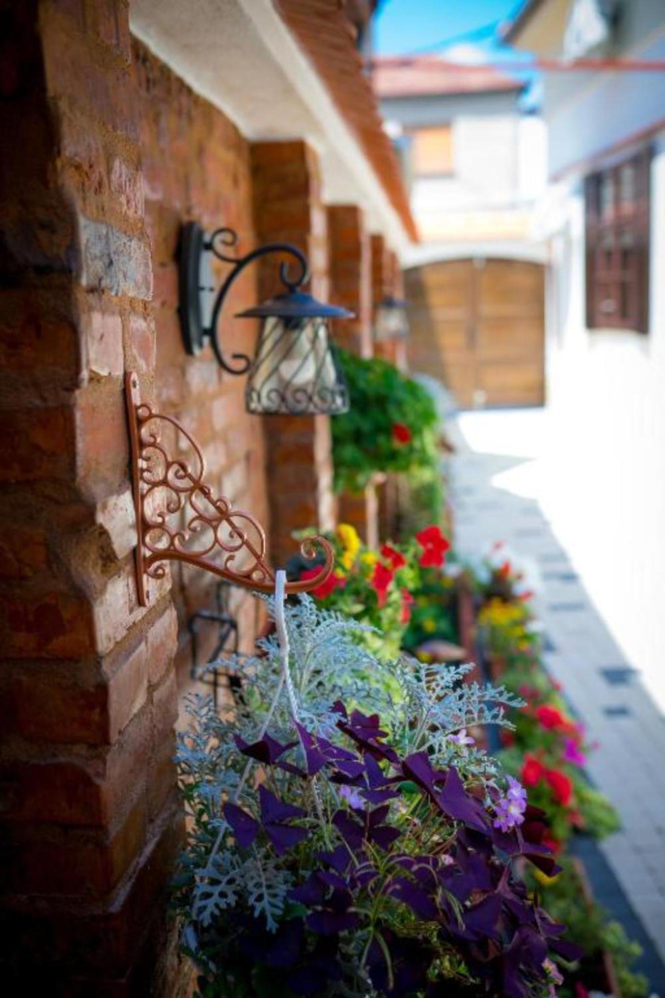 Cochet House Sibiu Exterior foto